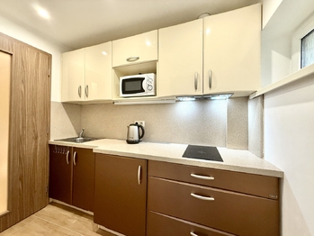 Pronájem bytu 2+1 v osobním vlastnictví 47 m², Karlovy Vary