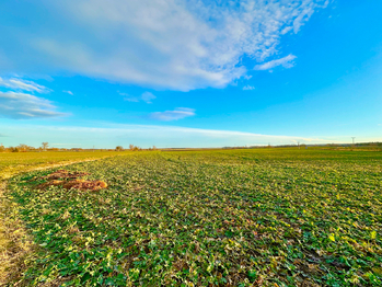 Prodej pozemku 1680 m², Slatiňany