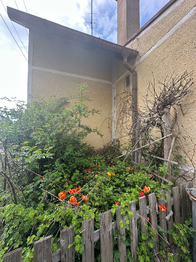 Prodej domu 360 m², Kralovice