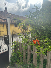 Prodej domu 360 m², Kralovice