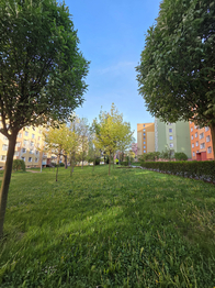 Pronájem bytu 2+1 v osobním vlastnictví 44 m², Šumperk
