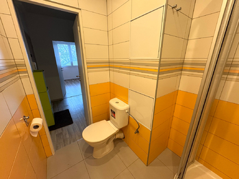 koupelna s WC - Pronájem bytu 2+1 v osobním vlastnictví 49 m², Plzeň