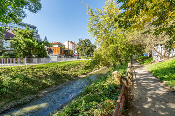 Pronájem bytu 2+1 v družstevním vlastnictví 61 m², Praha 8 - Libeň