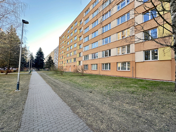 Zadní strana domu - Prodej bytu 1+kk v osobním vlastnictví 23 m², České Budějovice