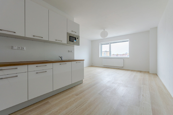 Pronájem bytu 1+kk v osobním vlastnictví 49 m², Plzeň