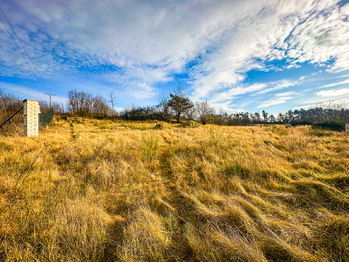 Prodej pozemku 1055 m², Milešov