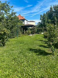 Zahrada - Pronájem bytu 3+kk v osobním vlastnictví 78 m², České Budějovice