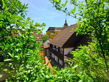 Prodej domu 220 m², Staňkovice