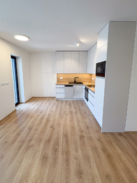 Pronájem bytu 1+kk v osobním vlastnictví 45 m², Zlín