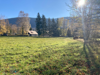 Prodej pozemku 1957 m², Bílý Potok