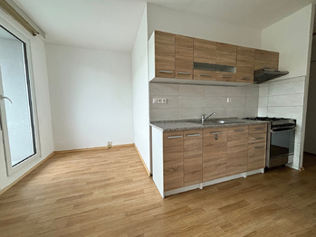 Prodej bytu 1+1 v osobním vlastnictví 48 m², České Budějovice