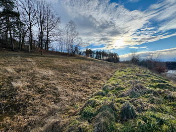 Prodej pozemku 7006 m², Dubičné