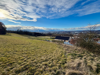 Prodej pozemku 7006 m², Dubičné