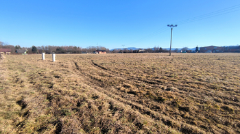 Prodej pozemku 8038 m², Dolní Domaslavice