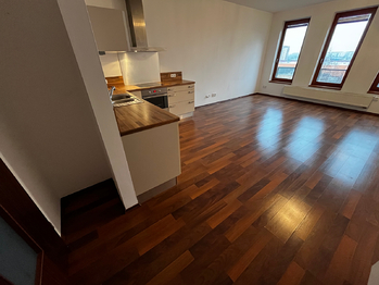 Pronájem bytu 1+kk v osobním vlastnictví 44 m², Plzeň