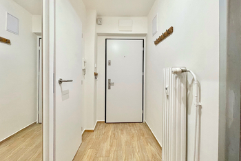 Pronájem bytu 1+kk v družstevním vlastnictví 45 m², Praha 3 - Žižkov