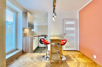 Pronájem bytu 1+kk v družstevním vlastnictví 45 m², Praha 3 - Žižkov