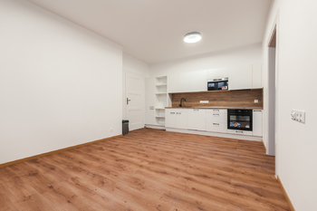 Pronájem bytu 2+kk v družstevním vlastnictví 64 m², Praha 3 - Žižkov