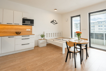 Pronájem bytu 1+kk v osobním vlastnictví 51 m², Brno