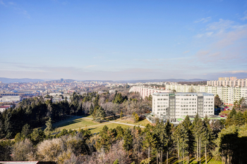 Prodej bytu 1+kk v osobním vlastnictví 24 m², Brno