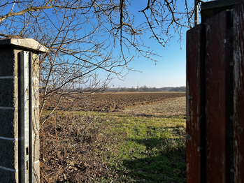 Prodej domu 164 m², Pohořelice