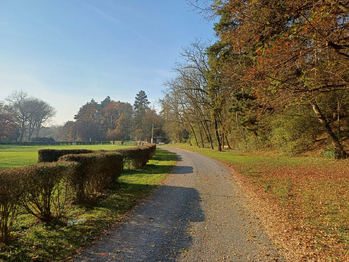 Prodej pozemku 650 m², Beřovice