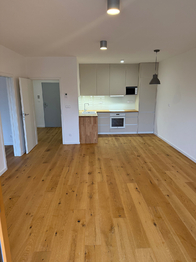 Pronájem bytu 2+kk v osobním vlastnictví 73 m², Třebíč