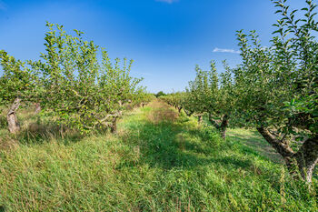 Stavební pozemek, Lipník nad Bečvou - Prodej pozemku 11622 m², Lipník nad Bečvou