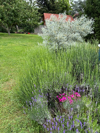 Prodej domu 420 m², Černolice