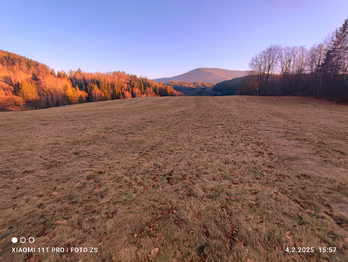 Prodej pozemku 22105 m², Lipová-lázně