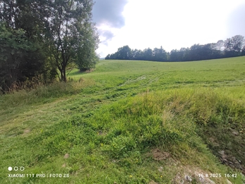Prodej pozemku 22105 m², Lipová-lázně