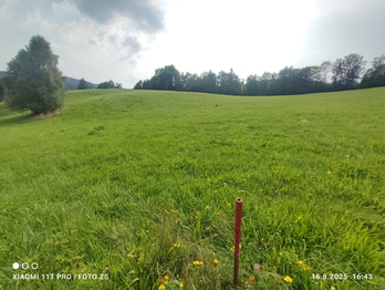 Prodej pozemku 22105 m², Lipová-lázně