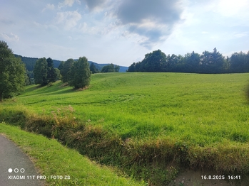 Prodej pozemku 22105 m², Lipová-lázně