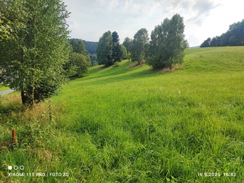 Prodej pozemku 22105 m², Lipová-lázně