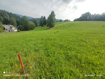 Prodej pozemku 22105 m², Lipová-lázně