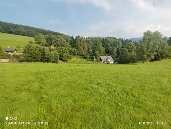 Prodej pozemku 22105 m², Lipová-lázně