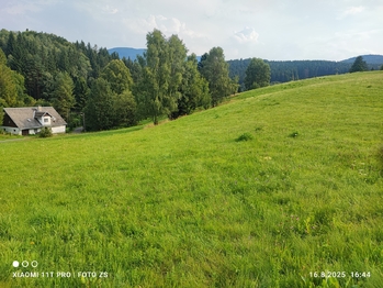 Prodej pozemku 22105 m², Lipová-lázně
