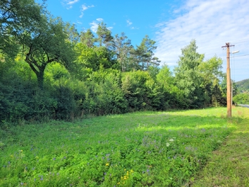 Prodej pozemku 1355 m², Břežany