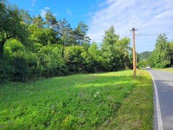 Prodej pozemku 3885 m², Sýkořice