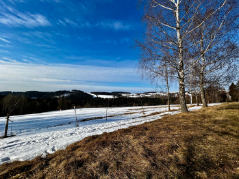 Prodej chaty / chalupy 173 m², Říčky v Orlických horách