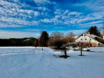 Prodej chaty / chalupy 173 m², Říčky v Orlických horách