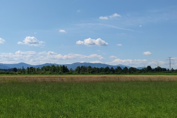 Prodej domu 220 m², Těrlicko