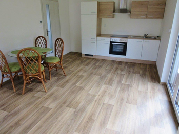 Pokoj s kuchyňským koutem. - Pronájem bytu 2+kk v osobním vlastnictví 48 m², Dražice