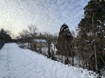 Prodej chaty / chalupy 19 m², Olomouc