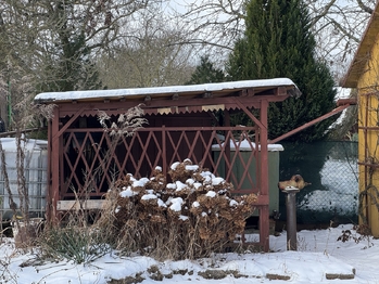 Prodej chaty / chalupy 19 m², Olomouc