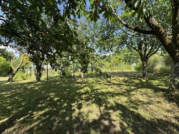Prodej chaty / chalupy 19 m², Olomouc