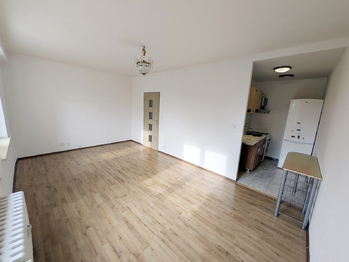 Prodej bytu 1+kk v družstevním vlastnictví 30 m², Havířov