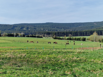 Prodej pozemku 2000 m², Orlické Záhoří