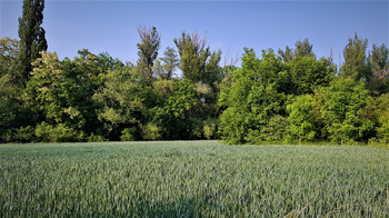 Prodej pozemku 1246 m², Hospozín