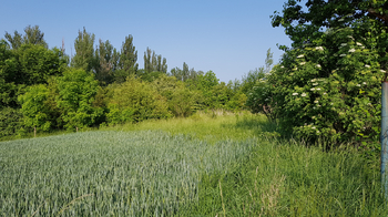 Prodej pozemku 1246 m², Hospozín